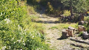 Une zone boisée avec un chalet situé sur une colline, entouré de grands arbres et d’une végétation dense.