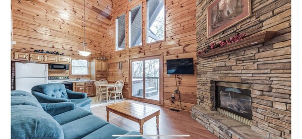 TV, fireplace