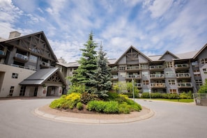 A modern hotel with a central courtyard featuring a large evergreen tree, surrounded by well-maintained landscaping.