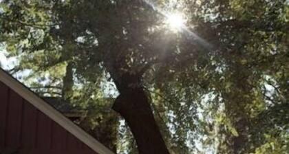 Amazing West Side * Walk Kaikkialla * Dog Friendly