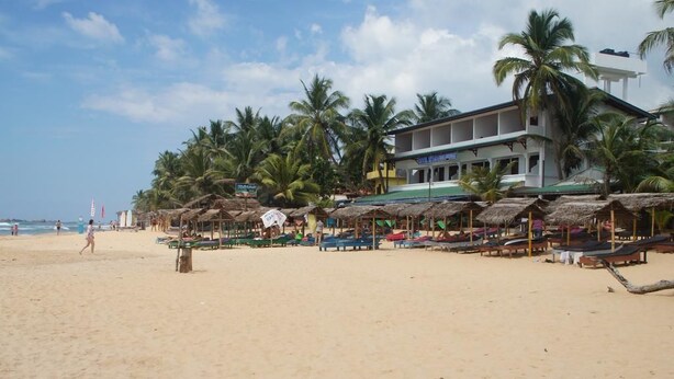 A beach with thatched umbrellas and lounge chairs, a building with a sign, and palm trees. - Hotel Ritas & Beach Restaurant (Hikkaduwa)