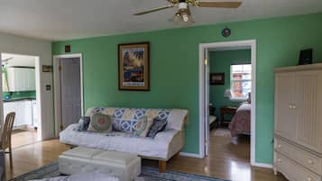Smart TV, fireplace, DVD player, books