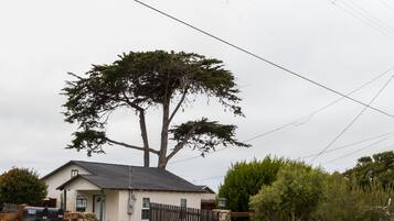 Área da propriedade