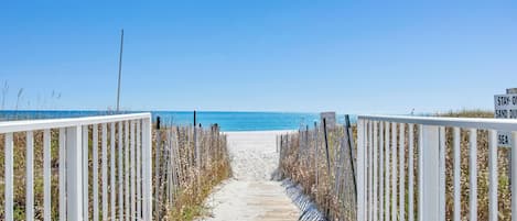 Plage, chaises longues