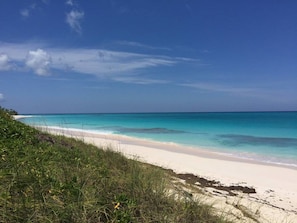 Enjoy a serene beach experience with calm waters and lush surroundings.