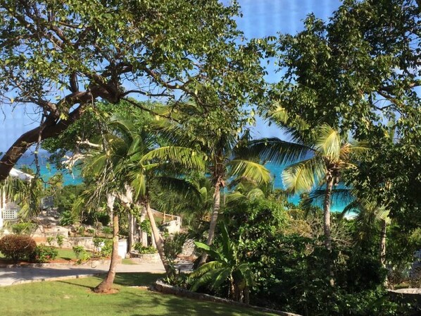 Escape to a serene tropical oasis with lush trees and a well-manicured lawn.