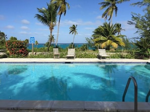 Relax by the tranquil pool surrounded by lush greenery and ocean views.