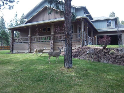Skyline Lodge, wunderschöne Lage, zu Fuß in die Innenstadt!