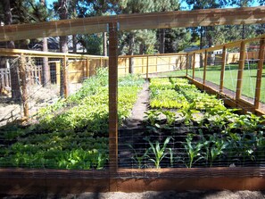 Property grounds - Skyline Lodge, Gorgeous Setting, Walk to Downtown! (Bend)