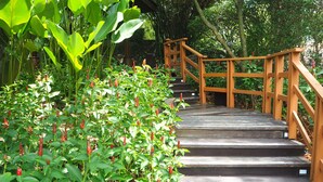 Escadaria de madeira com corrimão, cercada por vegetação exuberante e plantas.