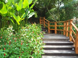 Una escalera de madera con barandilla, rodeada de exuberante vegetación y plantas.