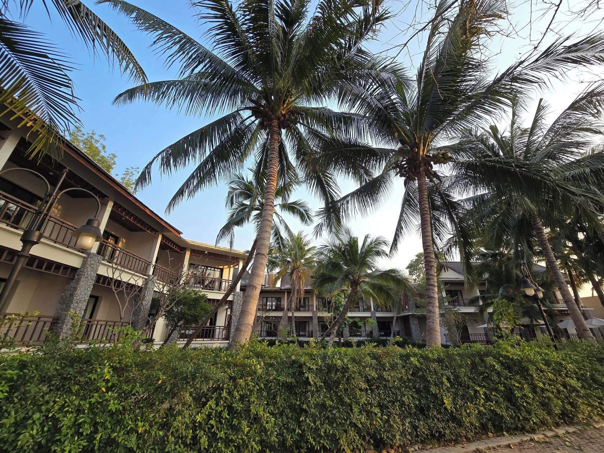 Garden Villa King | 客房景观