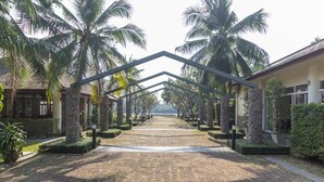 A pathway lined with palm trees leading to a building with a stone facade and a thatched roof. - Baan Tai Had Resort (Samut Songkhram)