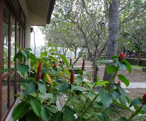 Jardín