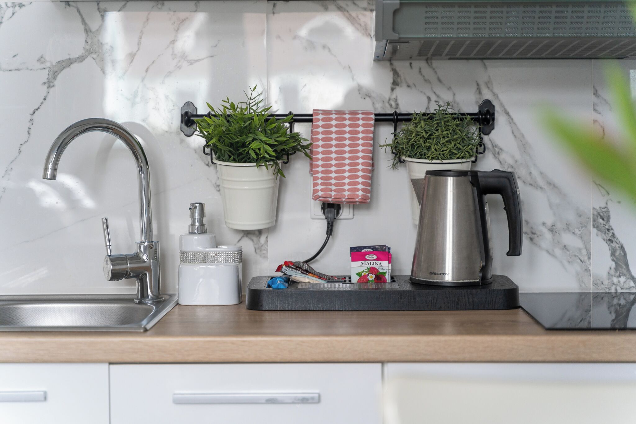 A kitchen with a stainless steel sink, a coffee maker, and two potted plants on a black countertop.