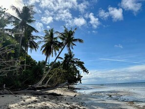 Private beach - Kalachuchi Beach Resort (Enrique Villanueva)