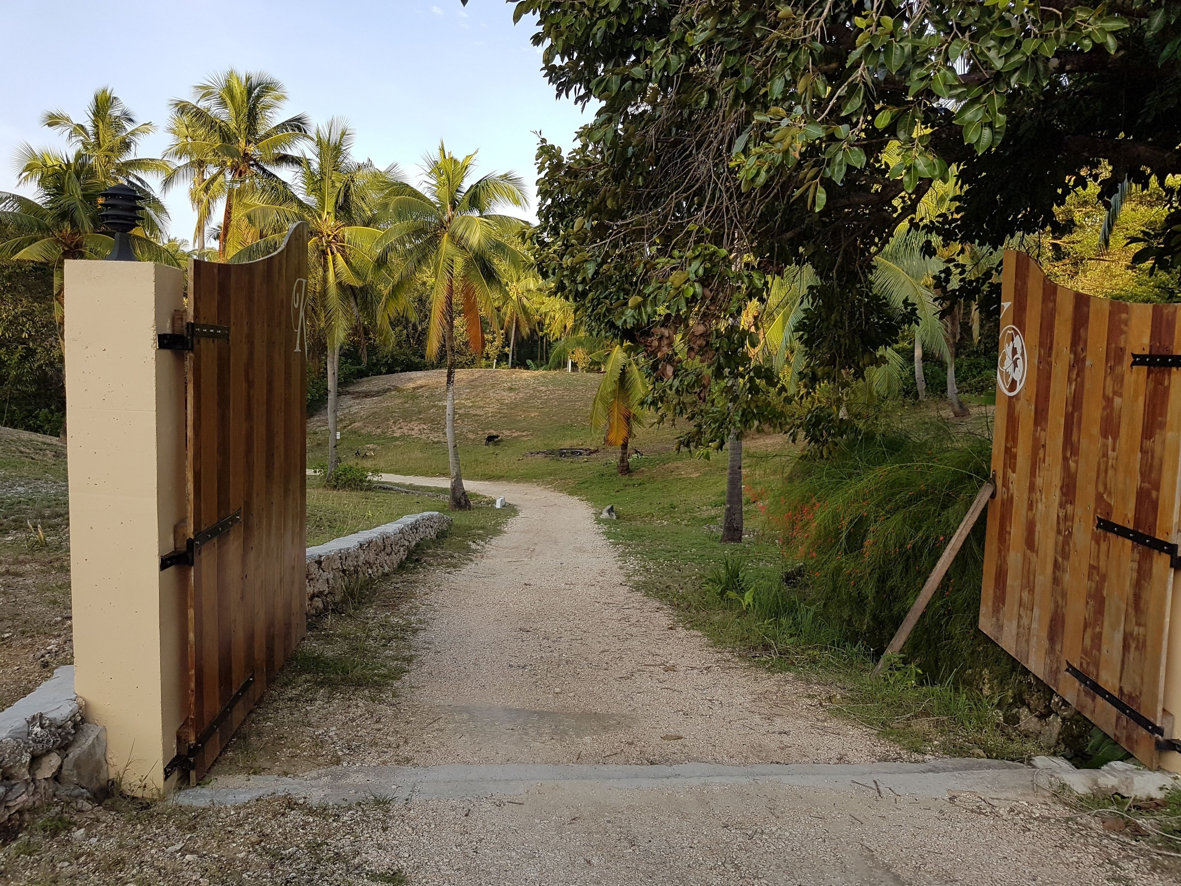 A gravel path leading to a gated area with palm trees and greenery.