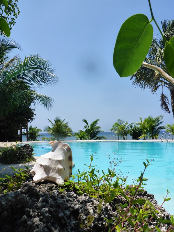 A clear blue pool surrounded by palm trees and rocky terrain.
