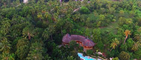 An aerial view of a tropical resort with a swimming pool, palm trees, and a large house with a thatched roof.