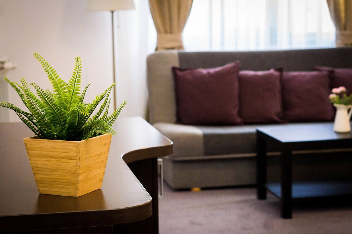 A living room with a wooden side table, a potted fern, a grey sofa with purple cushions, and a white vase with flowers on a coffee table.