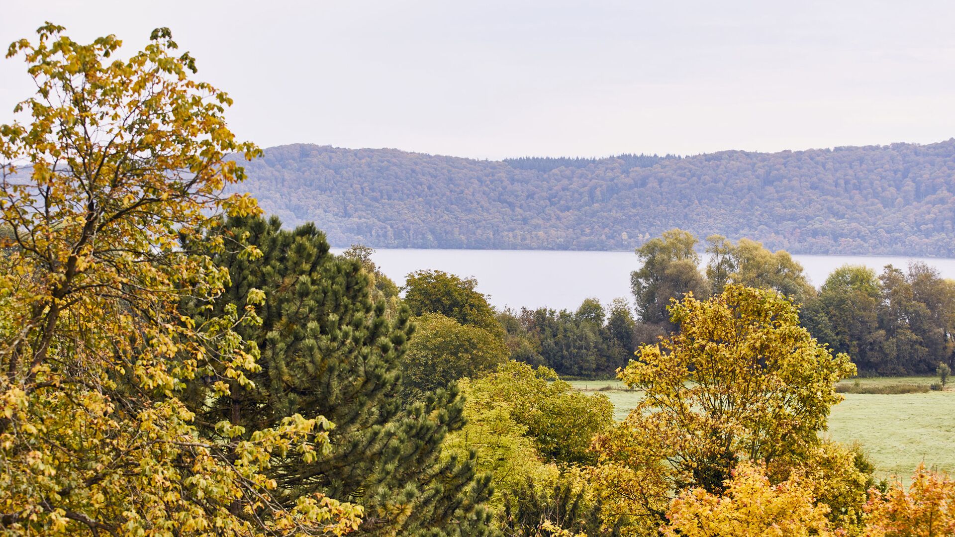 superior double room | 1 bedroom, free minibar, in-room safe, desk