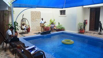 Outdoor pool, sun loungers