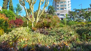 Un giardino con diverse piante e un edificio sullo sfondo.