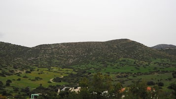 House, 3 Bedrooms | View from room