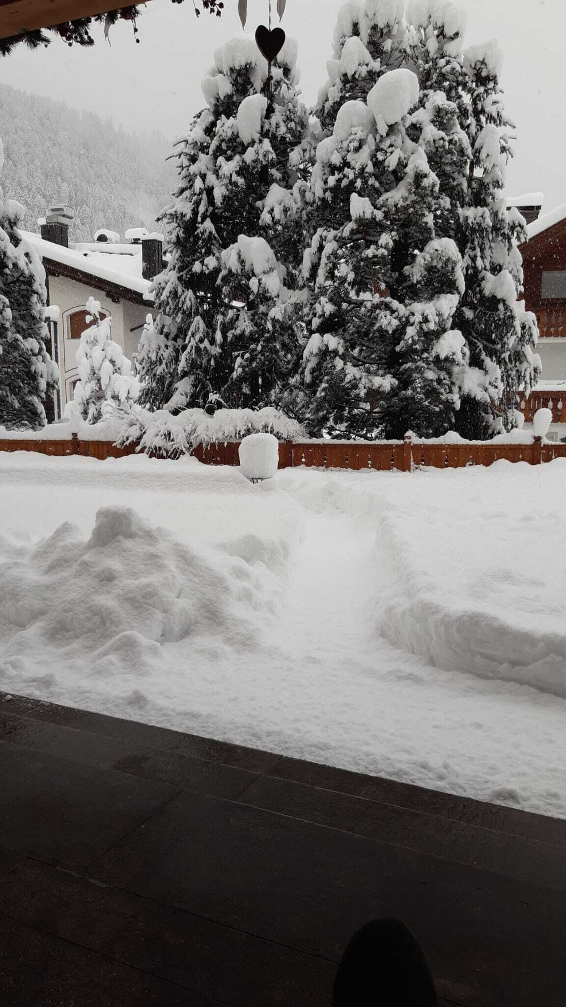 Foto - Hotel Garni Concordia - Dolomites Home