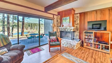 TV, fireplace, DVD player, books