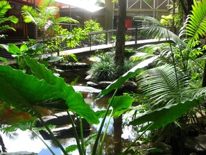 Property grounds - !!!!! Get Ready - Get Set - To - Relax @ 104 Ramada Resort - Free Wi-Fi !!!!!!!! (Port Douglas)