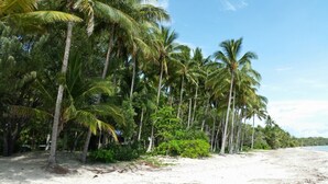 Una playa con palmeras y una orilla arenosa.