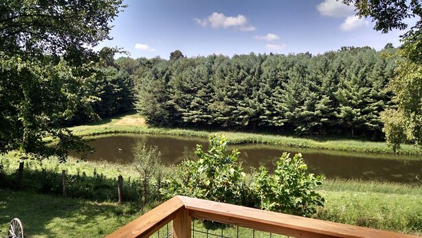 Vista de um lago rodeado por uma floresta densa, com um deck de madeira ao primeiro plano.