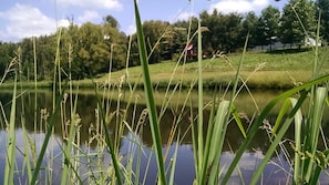 Property grounds - Hot Tub, Quiet, Relaxing , Fishing, Wi Fi, A.C., Fire Pit, Windy 9, Hot Tub (Stewart)