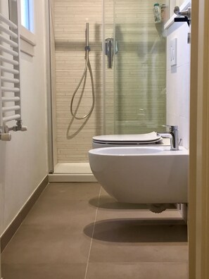 Shower, hair dryer, bidet, towels