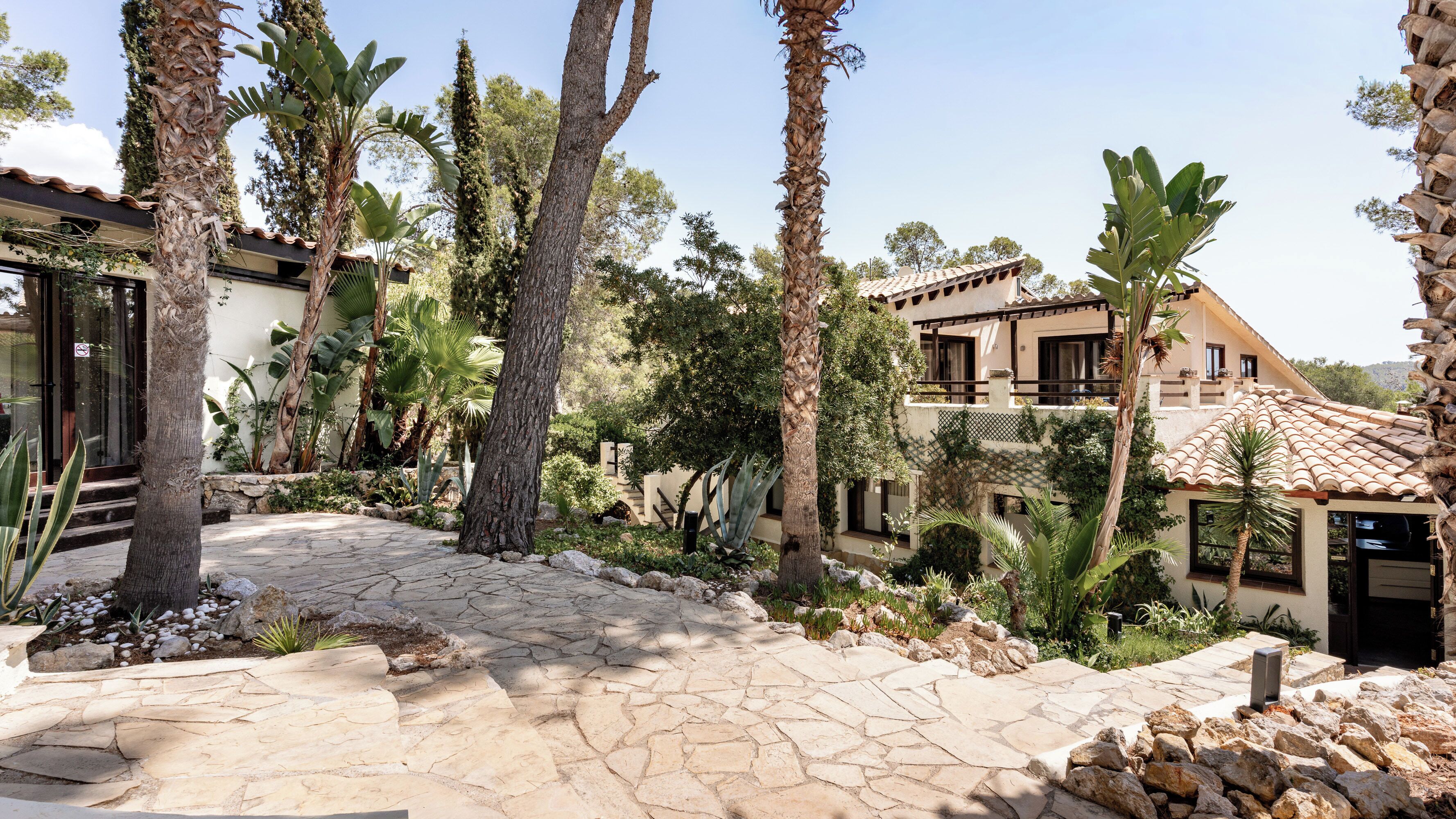 A courtyard with stone pathways, palm trees, and a building with a tiled roof.