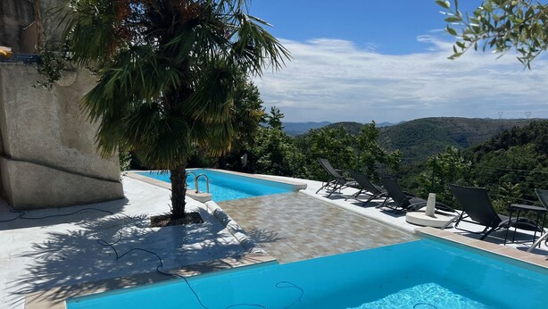 A swimming pool with a view of hills, a palm tree, and lounge chairs.