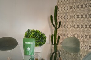 Une chambre avec un cactus, un sac de bienvenue et un mur orné de motifs.