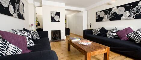 Télévision, cheminée, lecteur de DVD, livres