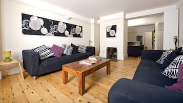 TV, fireplace, DVD player, books