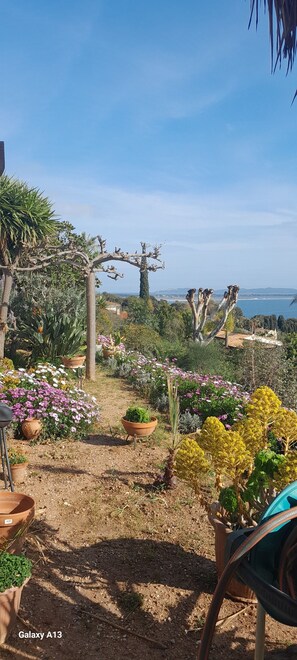 Property grounds - GROUND FLOOR OF VILLA facing the tip of Giens (Carqueiranne)