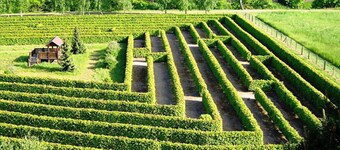 Ruhige Ferienwohnung in der Klosterstadt Dargun - Ruhige Ferienwohnung in Dargun