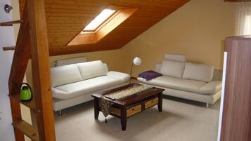 TV, DVD player, books, video library