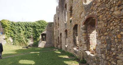 nuevo: casa de vacaciones de ensueño en el sur de la Selva Negra, con vistas lejanas y piscina