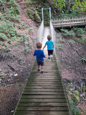 Miscellaneous - Apartment Edelweiss - Haus Zitterklapfen (Au)