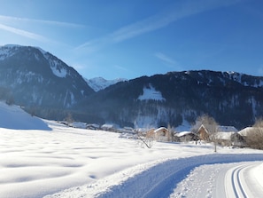 Miscellaneous - Vacation apartment Enzian - House Zitterklapfen (Au)