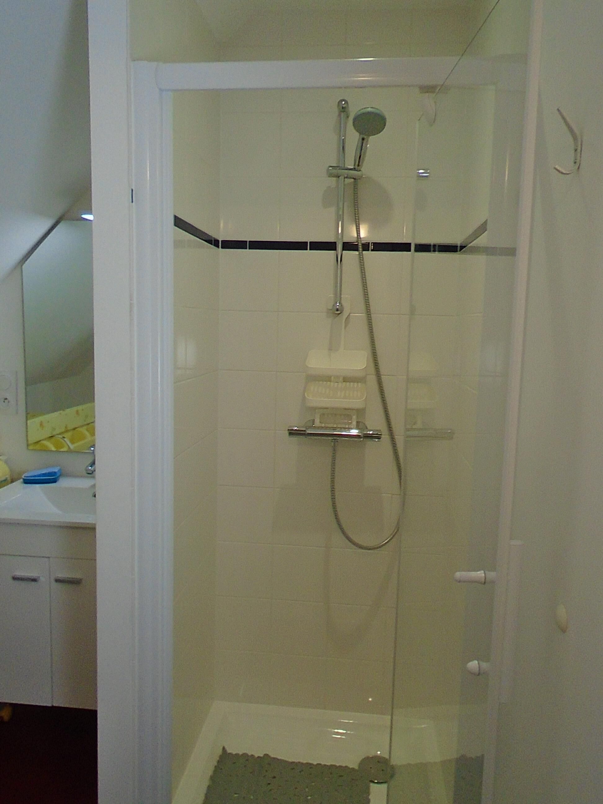 A glass-enclosed shower with a handheld showerhead and a handheld faucet.