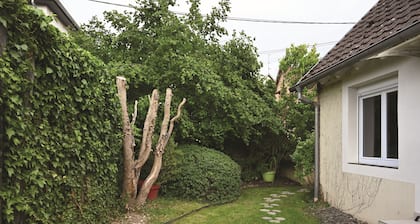 Gîte Au Bon Repos à Muttersholtz : The ideal getaway in the heart of Alsace 
