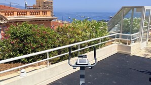 Un appareil de musculation en plein air, installé sur un toit, offrant une vue sur la mer et les bâtiments.