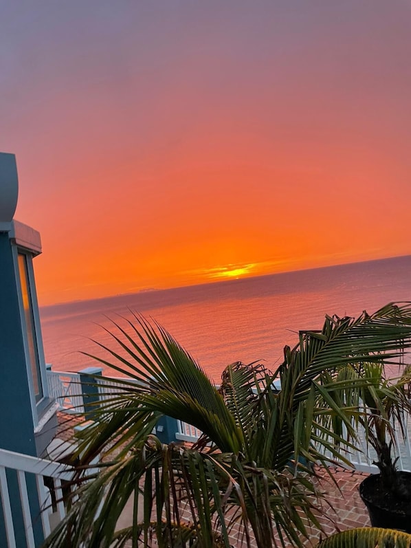 Property grounds - Beautiful Water Front Property - Snorkel, Fish, or RELAX in the BEST LOCATION! (Devonshire)